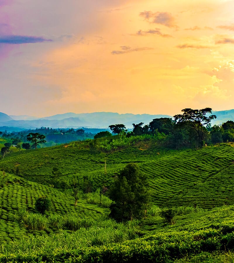 uganda-beauty-four