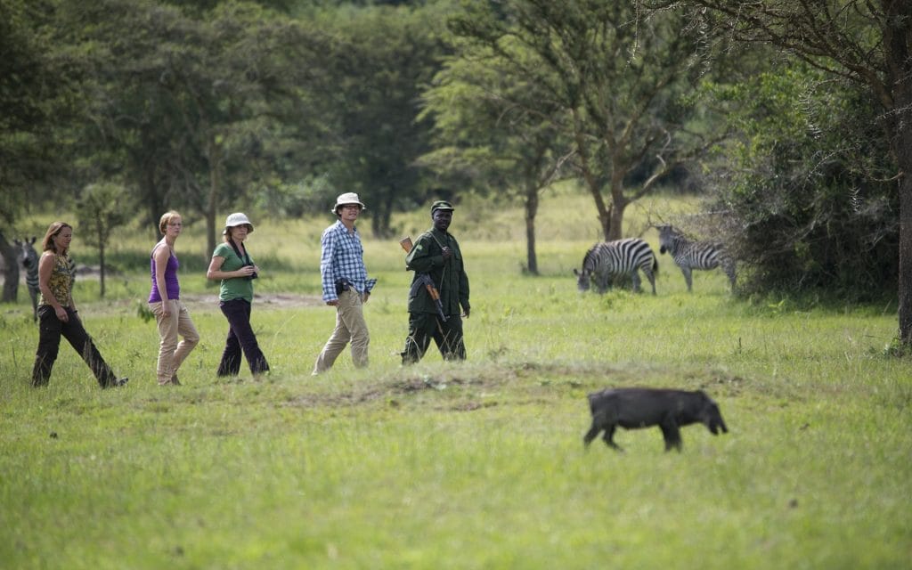 Tourists on a guided nature walk with armed rangers in Uganda