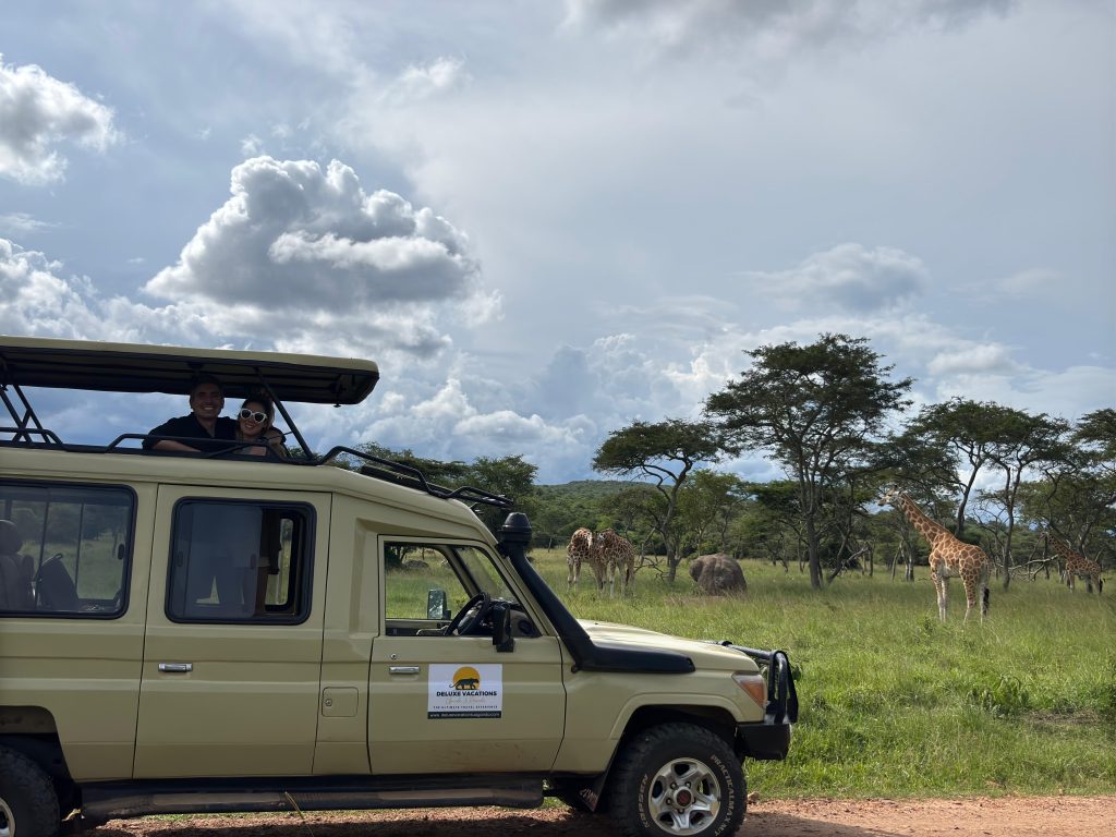 Couple on a honeymoon safari in Uganda enjoying views of the Giraffes