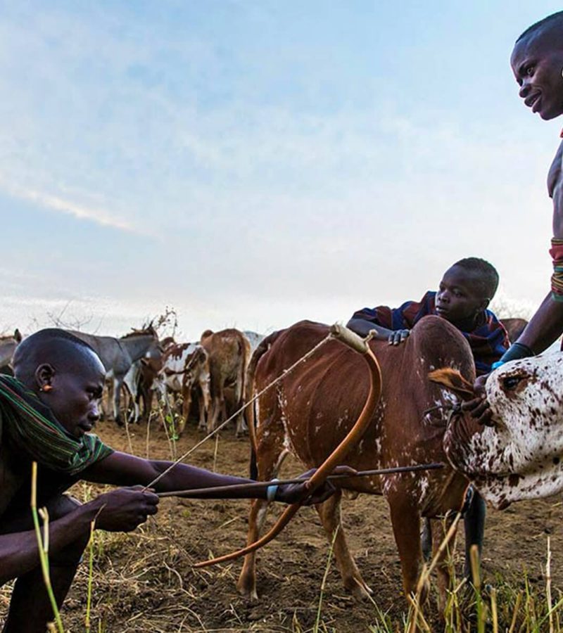Karamojong culture