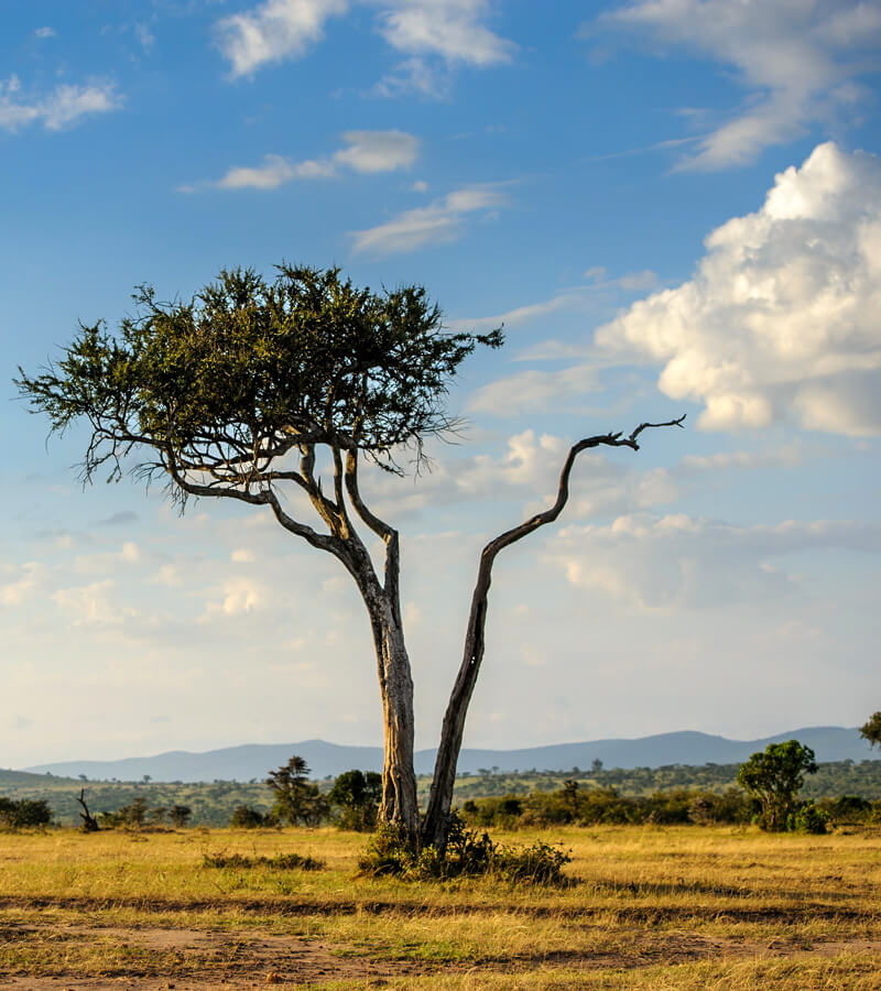 rwanda-beauty-two