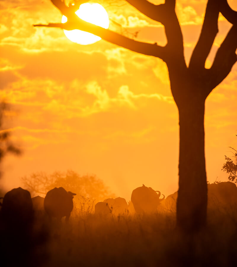 uganda-beauty-five
