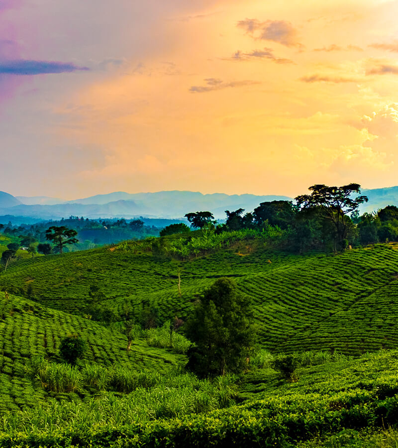 uganda-beauty-four