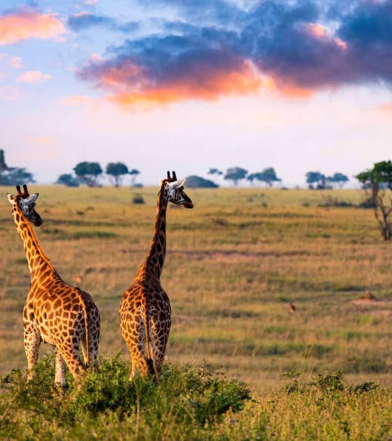 planning-uganda (1)